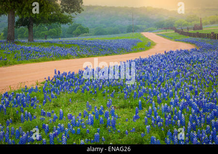 Country road in the Texas Hill Country east of Llano, Texas, line by bluebonnets Stock Photo