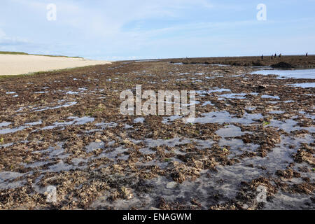 Indonesia, Sumba island, Pero beach Stock Photo