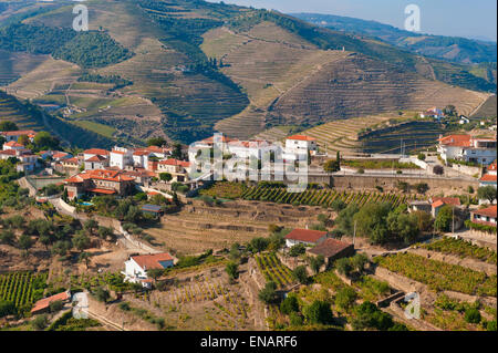 Porto Wine vineyards, Alto Douro, Tras-os-Montes, Portugal, Unesco World Heritage site Stock Photo