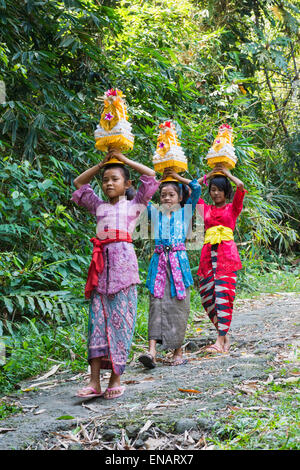 Three girls walking to the temple with offerings for a ceremony on the head, Bali, Indonesia Stock Photo