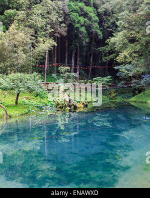 Still forest lake at Alishan National Scenic Area, Taiwan. Stock Photo