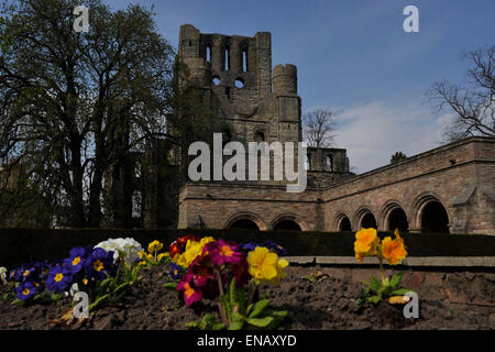 Kelso Abbey; 12th century; Scottish Borders; tourist attraction; Tironensians Stock Photo