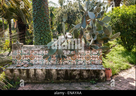 Prickly pear cactus growing over a garden seat made of traditional ceramic tiles in the garden of Villa Paterno, Catania, Sicily, Italy Stock Photo
