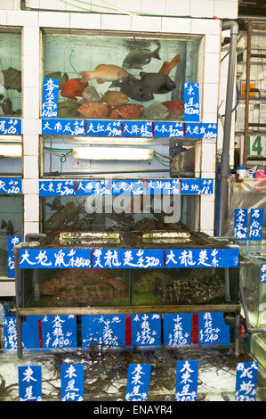 dh Fish tank MARKET HONG KONG Fish tanks market fish for sale china Stock Photo