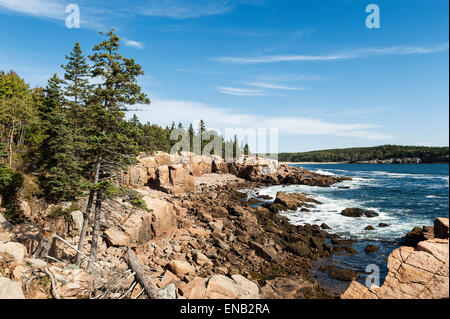 Rocky coastal landscape, Acadia NP, Maine, USA Stock Photo