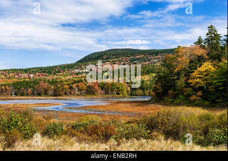 Autumn color on Eagle Lake, Acadia National Park, Maine, USA Stock Photo
