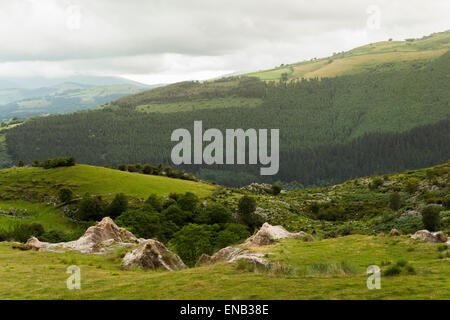 Hilly landscape with trees and vegetation in the Basque Country, Spain, Europe. Stock Photo