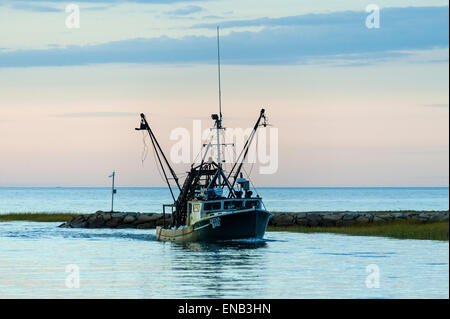 Commercial quahog fishing boat returns with the days catch, Rock Harbor, Orleans, Cape Cod, Massachusetts, USA Stock Photo