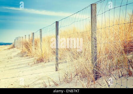 Fence on a dune, nature background, shallow depth of field. Stock Photo