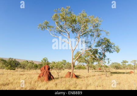 Mornington Wilderness Camp, Kimberley, Western Australia Stock Photo