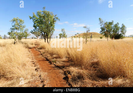 Walking Trail through the savannah, Mornington Wilderness Camp, Kimberley, Western Australia Stock Photo