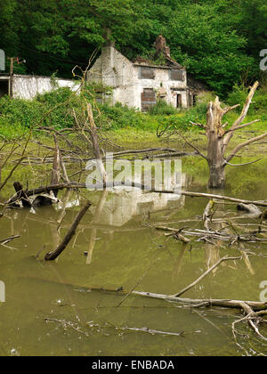 A burnt out and abandoned cottage between Jackfield and Broseley, Ironbridge, Shropshire, UK Stock Photo