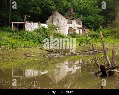 A burnt out and abandoned cottage between Jackfield and Broseley, Ironbridge, Shropshire, UK Stock Photo