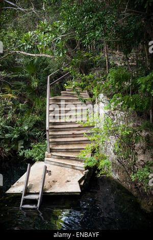 Open cenote with crystal transparent water, Tulum, Mexico Stock Photo