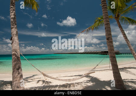 Empty hammock between palm trees on tropical beach in Maldives. Stock Photo