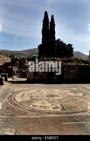 Volubilis, Roman Ruins, Morocco Stock Photo