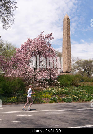 Springtime view of woman jogging past the Egyptian Obelisk in Central Park, NYC, USA Stock Photo