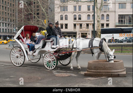 Carriage horse drinking water from trough outside Central Park, NYC, USA Stock Photo