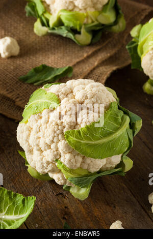 Raw Organic Cauliflower Heads with Fresh Green Leaves Stock Photo