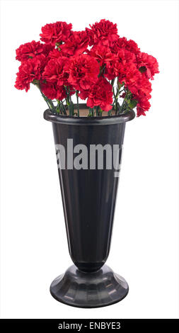 Bouquet of red carnation flowers iin black pot isolated on white background. Closeup. Stock Photo