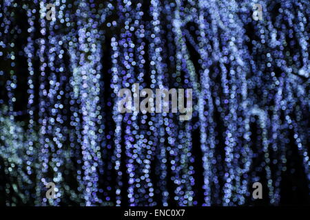 bokeh light blur of the LED lamp in the night Stock Photo