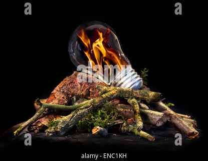 A creative depiction of the energy of fire shown by flames within a light bulb placed on firewood Stock Photo