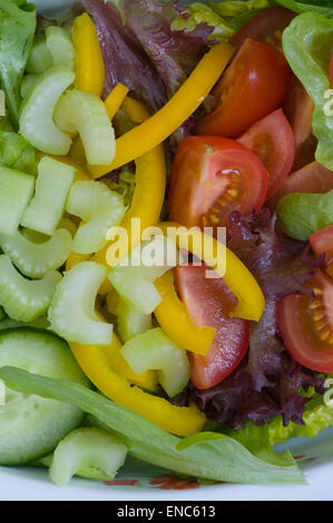 Fresh Salad In a Bowl Stock Photo