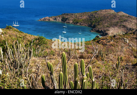 St. Barths, Saint-Barthélemy, French West Indies: the Caribbean Sea and the yachts and sailboats anchored in the remote bay of Colombier beach Stock Photo