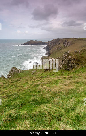 The rumps in cornwall england uk on the coast path Stock Photo