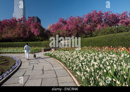 Woman walking her dog in The Conservatory Garden in Central Park, New York City Stock Photo