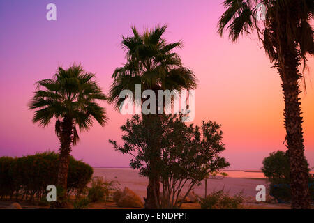 Magic pink sunrise over Dead Sea shore Stock Photo