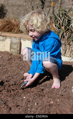 Little blonde haired boy gardening on a sunny day Stock Photo