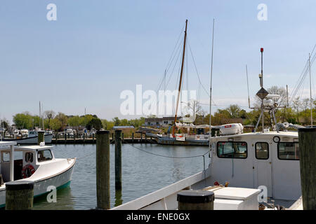 Commercial fisheries review. Fisheries; Fish trade. 84 BLUE CRAB FISHING  (Contd.) runs his boat along the Unenforcing it to pass over a roller  attached to the boat. As the boat moves