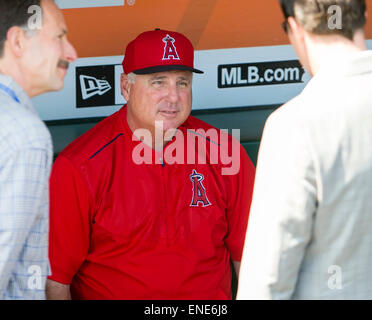 Los Angeles Angels manager Mike Scioscia instructs players during ...