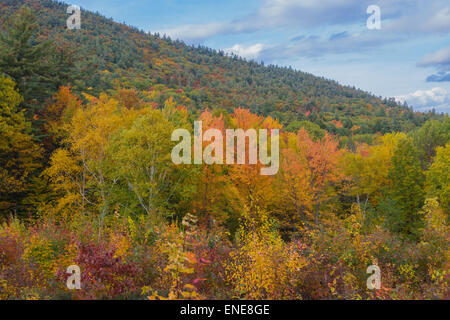Spattering of fall colors on Prospect Mountain during the evening in mid-October. Stock Photo
