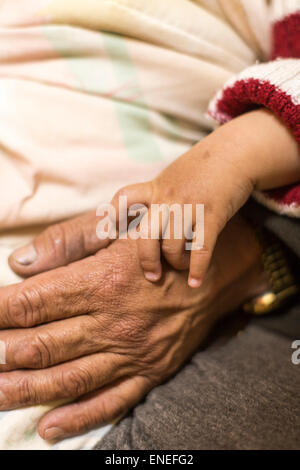 Close-up of child's hand and grandfather's hand, Phobjikha Valley, Western Bhutan, Asia Stock Photo