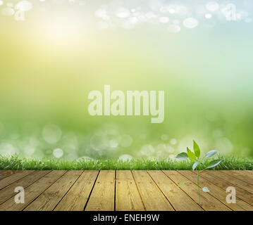 wooden floor with green grass and blue sky background Stock Photo - Alamy
