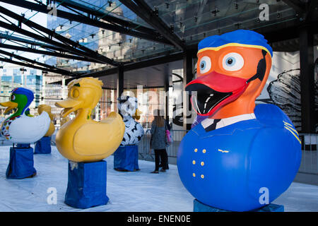 Liverpool, Merseyside, 4rd May, 2015.  City Centre River Festival Project. A team of artists is decorating a host of giant ducks in public view at Mann Island Development.The Liverpool Duck Trail, commissioned by AquaDucked, is to be launched on LightNight to showcase the vibrant creativity alive in Liverpool. Stock Photo