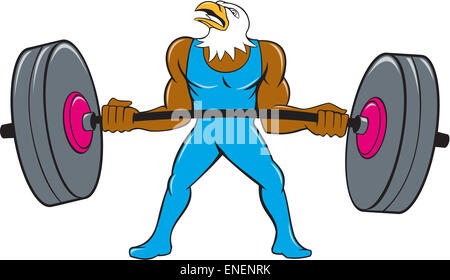 Cartoon style illustration of a bald eagle weightlifter lifting barbell looking to the side set on isolated white background. Stock Photo