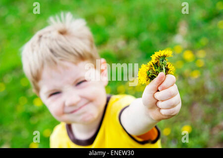 boy giving gift of dandelion flowers Stock Photo