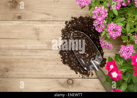 Gardening tools and flower on wooden background Stock Photo