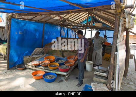 One of the fresh fish stalls at the daily street market at  Fort Cochin in Kochi, Kerala, India Stock Photo