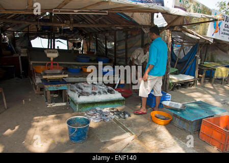 One of the fresh fish stalls at the daily street market at  Fort Cochin in Kochi, Kerala, India Stock Photo