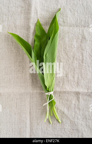 Fresh wild garlic leaves on natural linen tablecloth Stock Photo