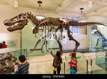 New York City, New York State, United States of America.  American Museum of Natural History. Skeleton Tyrannosaurus rex. Stock Photo