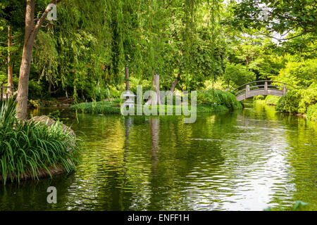 Quiet and tranquil outdoor nature scene in Japanese Botanical Gardens in Fort Worth, Texas, USA. Stock Photo