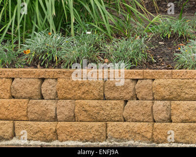 Stone retaining wall, built with irregular sized terracotta coloured rough edged bricks with plants in garden at top of wall Stock Photo