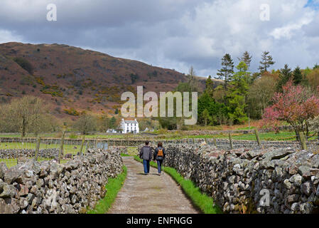 Walkers on walled path, heading for the Brook House Inn, Boot, Eskdale, Lake District National Park, Cumbria, England UK Stock Photo