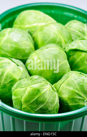 Brussels sprouts in a Plastic Box Stock Photo