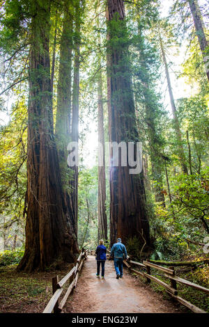 Caucasian couple walking on fenced dirt path under tall trees Stock Photo